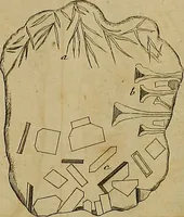 An illustration from Employment for the microscope : in two parts (1764)
