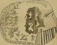 An illustration from Employment for the microscope : in two parts (1764)