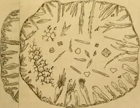 An illustration from Employment for the microscope : in two parts (1764)