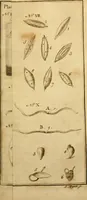 An illustration from Employment for the microscope : in two parts (1764)