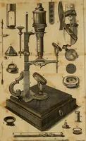 An illustration from Employment for the microscope : in two parts (1764)