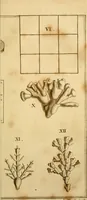 An illustration from Employment for the microscope : in two parts (1764)