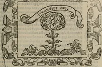 Picture 40 of 175 from Empresas espirituales y morales ... (1613), leaf 126