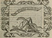Picture 70 of 175 from Empresas espirituales y morales ... (1613), leaf 192