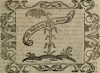 Picture 89 of 175 from Empresas espirituales y morales ... (1613), leaf 240