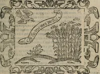 An illustration from Empresas espirituales y morales ... (1613)