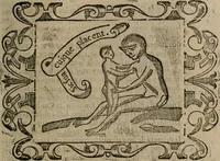 Picture 122 of 175 from Empresas espirituales y morales ... (1613), leaf 324
