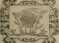 Picture 142 of 175 from Empresas espirituales y morales ... (1613), leaf 380