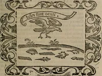 Picture 144 of 175 from Empresas espirituales y morales ... (1613), leaf 384