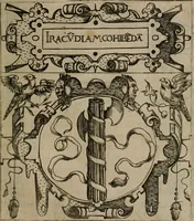 Picture 80 of 239 from Empresas morales (1680), leaf 160