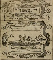 Picture 91 of 239 from Empresas morales (1680), leaf 180