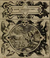 Picture 105 of 239 from Empresas morales (1680), leaf 206