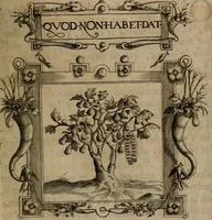 Picture 131 of 239 from Empresas morales (1680), leaf 262