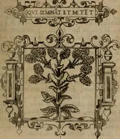 An illustration from Empresas morales (1680)