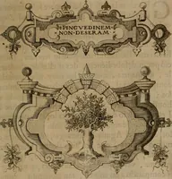 Picture 179 of 239 from Empresas morales (1680), leaf 356