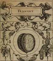 Picture 29 of 239 from Empresas morales (1680), leaf 60