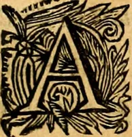 An illustration from Empresas Morales...Sacalas a lvz el doctor don Francisco de Borja.. (1680)