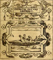 Picture 90 of 238 from Empresas Morales...Sacalas a lvz el doctor don Francisco de Borja.. (1680), leaf 180