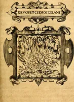 Picture 116 of 238 from Empresas Morales...Sacalas a lvz el doctor don Francisco de Borja.. (1680), leaf 236