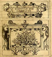 Picture 161 of 238 from Empresas Morales...Sacalas a lvz el doctor don Francisco de Borja.. (1680), leaf 318
