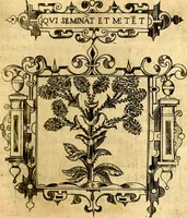 An illustration from Empresas Morales...Sacalas a lvz el doctor don Francisco de Borja.. (1680)