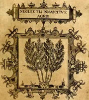 An illustration from Empresas Morales...Sacalas a lvz el doctor don Francisco de Borja.. (1680)