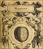 Picture 29 of 238 from Empresas Morales...Sacalas a lvz el doctor don Francisco de Borja.. (1680), leaf 60