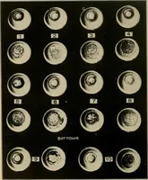 An illustration from Enamels (1918)