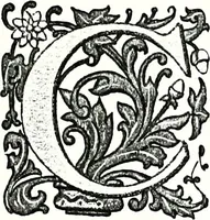 An illustration from Enciclopedia heráldica y genealógica hispano-americana (1919)