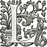 An illustration from Enciclopedia heráldica y genealógica hispano-americana (1919)