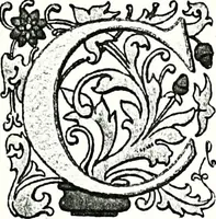 An illustration from Enciclopedia heráldica y genealógica hispano-americana (1919)