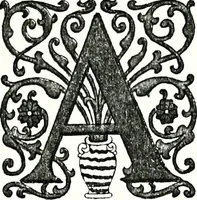 Picture 85 of 85 from Enciclopedia heráldica y genealógica hispano-americana (1919), leaf 418