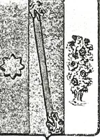 An illustration from Enciclopedia heráldica y genealógica hispano-americana (1919)