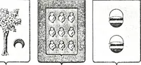 An illustration from Enciclopedia heráldica y genealógica hispano-americana (1919)