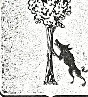 An illustration from Enciclopedia heráldica y genealógica hispano-americana (1919)