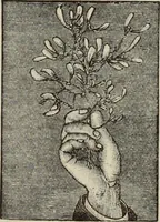 Picture 41 of 62 from An encyclopaedia of freemasonry and its kindred sciences : comprising the whole range of arts, sciences and literature as connected with the institution (1887), leaf 1021