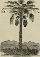 An illustration from An encyclopaedia of freemasonry and its kindred sciences : comprising the whole range of arts, sciences and literature as connected with the institution (1887)