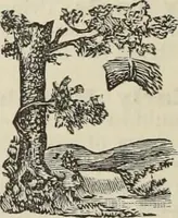 Picture 35 of 62 from An encyclopaedia of freemasonry and its kindred sciences : comprising the whole range of arts, sciences and literature as connected with the institution (1887), leaf 995