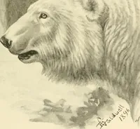 Picture 53 of 290 from The encyclopaedia of sport (1897), leaf 109