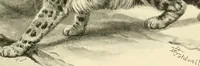 Picture 60 of 290 from The encyclopaedia of sport (1897), leaf 123