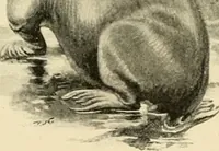 Picture 61 of 290 from The encyclopaedia of sport (1897), leaf 124