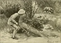 Picture 67 of 290 from The encyclopaedia of sport (1897), leaf 148