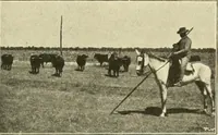 Picture 83 of 290 from The encyclopaedia of sport (1897), leaf 177