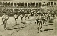Picture 84 of 290 from The encyclopaedia of sport (1897), leaf 178