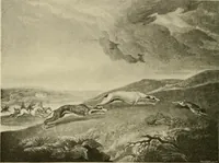 Picture 110 of 290 from The encyclopaedia of sport (1897), leaf 228