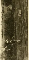 Picture 111 of 290 from The encyclopaedia of sport (1897), leaf 229