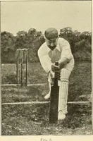 Picture 115 of 290 from The encyclopaedia of sport (1897), leaf 251