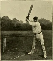 Picture 116 of 290 from The encyclopaedia of sport (1897), leaf 252