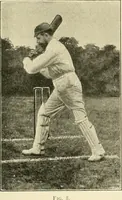 Picture 117 of 290 from The encyclopaedia of sport (1897), leaf 253