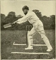 Picture 118 of 290 from The encyclopaedia of sport (1897), leaf 253